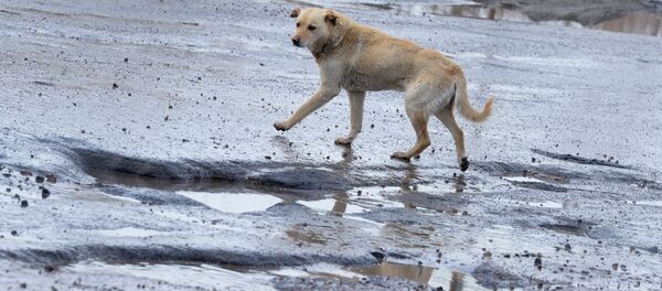 Ямы и рытвины на разбитом дорожном покрытии - Sputnik Латвия