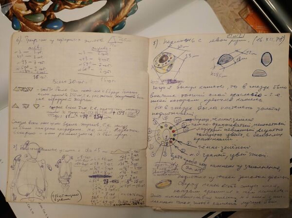 Золото Бактрии: что неизвестно об уникальной находке Золото Бактрии: что неизвестно об уникальной находке - Sputnik Латвия