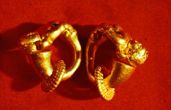 Золото Бактрии: что неизвестно об уникальной находке Золото Бактрии: что неизвестно об уникальной находке - Sputnik Латвия