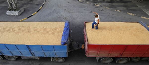 Работа зернового терминала в порту Новороссийска - Sputnik Латвия