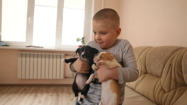 Шестилетний мальчик спасает бездомных и раненых зверей - видео - Sputnik Латвия