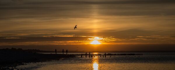 Берег Балтийского моря в Зеленоградске. Берег Балтийского моря в Зеленоградске. - Sputnik Latvija