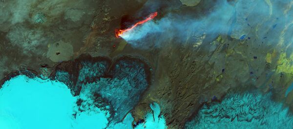 Лавовое поле Holuhraun в Исландии Лавовое поле Holuhraun в Исландии - Sputnik Latvija