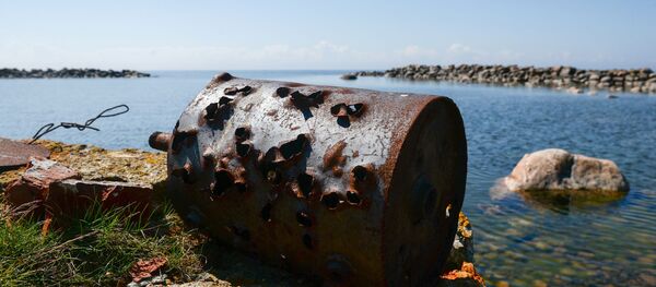 Остров Большой Тютерс в Финском заливе. Остров Большой Тютерс в Финском заливе. - Sputnik Latvija