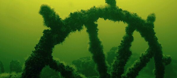 Штурвал, поросший ракушками и водорослями - Sputnik Латвия