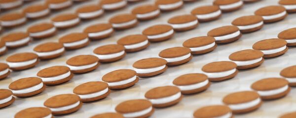 Производство кондитерских изделий ООО Орион Интернейшнл Евро Производство кондитерских изделий ООО Орион Интернейшнл Евро - Sputnik Латвия