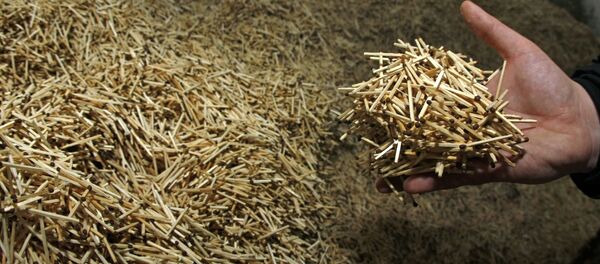 Готовые спички на фабрике Готовые спички на фабрике - Sputnik Latvija