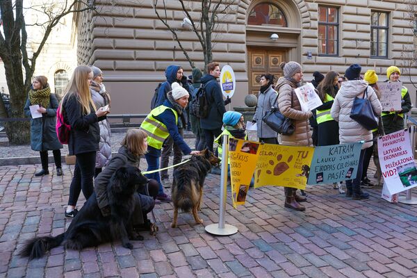 Звери тоже люди: защитники животных у здания Сейма - Sputnik Латвия