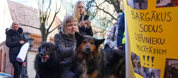 Пикет защитников животных у здания Сейма - Sputnik Латвия