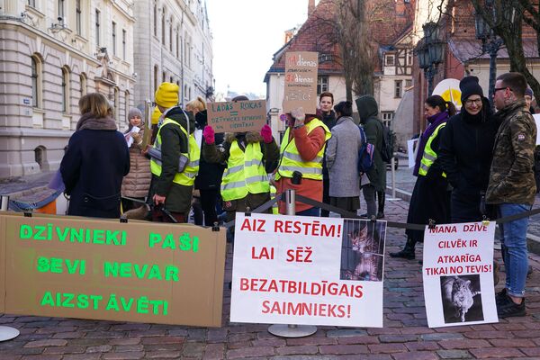 Звери тоже люди: защитники животных у здания Сейма - Sputnik Латвия