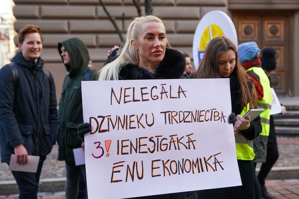 Звери тоже люди: защитники животных у здания Сейма - Sputnik Латвия