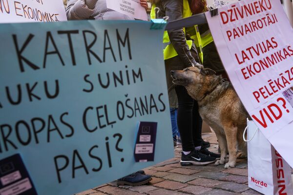 Звери тоже люди: защитники животных у здания Сейма - Sputnik Латвия