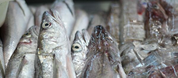 Замороженная рыба - Sputnik Латвия