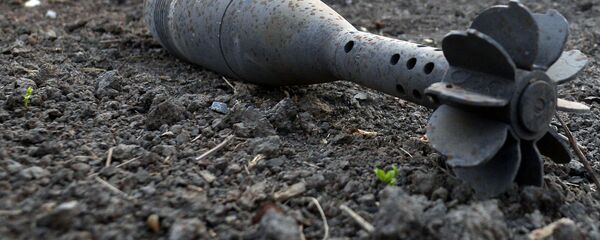 Мина Мина - Sputnik Latvija