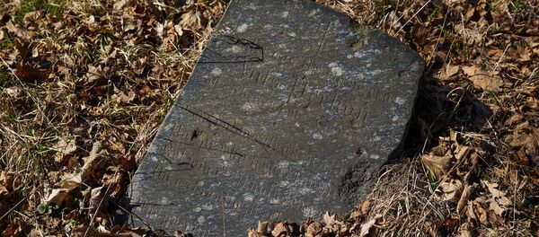 Кладбище Матиса в Риге - Sputnik Латвия