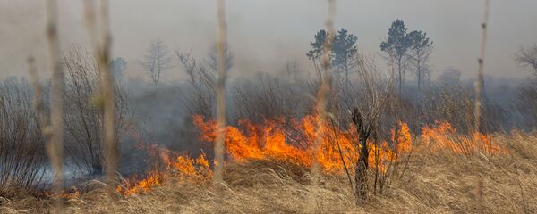 Kūlas ugunsgrēks Kūlas ugunsgrēks - Sputnik Latvija
