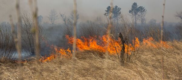 Kūlas ugunsgrēks Kūlas ugunsgrēks - Sputnik Latvija
