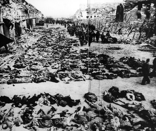 Расстрелянные в срочном порядке 2000 узников фашисткого концлагеря Клоога на территории оккупированной Эстонии во время Великой Отечественной войны, 1944 год - Sputnik Латвия