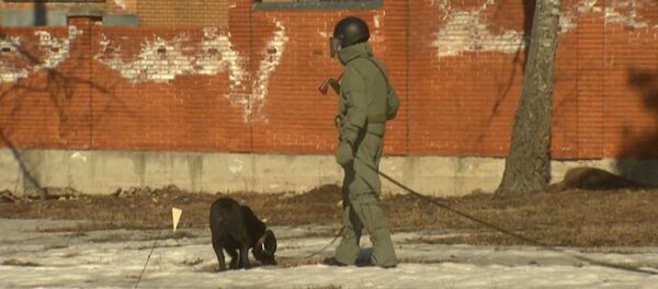 Российские саперы с собаками разминировали поле перед отправкой в Пальмиру Российские саперы с собаками разминировали поле перед отправкой в Пальмиру - Sputnik Латвия