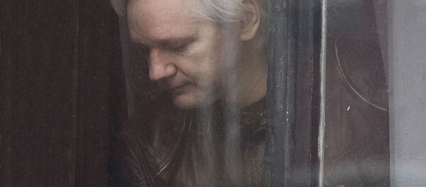 WikiLeaks dibinātājs Džulians Asanžs WikiLeaks dibinātājs Džulians Asanžs - Sputnik Latvija
