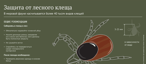 Защита от лесного клеща - Sputnik Латвия
