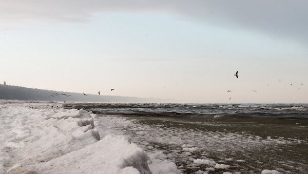 Зимний пляж в Юрмале - Sputnik Латвия