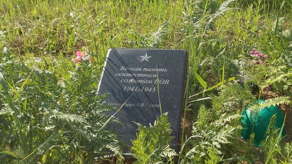 Братская могила советских воинов, партизан и жертв фашизма в окрестностях деревни Жестяная Горка - Sputnik Латвия