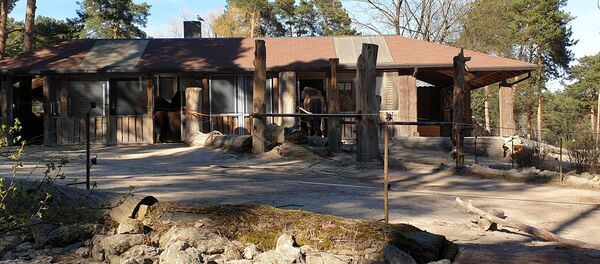 Рижский зоопарк - Sputnik Латвия