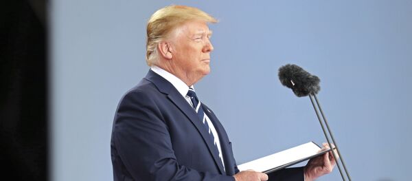 Президент США Дональд Трамп Президент США Дональд Трамп - Sputnik Latvija