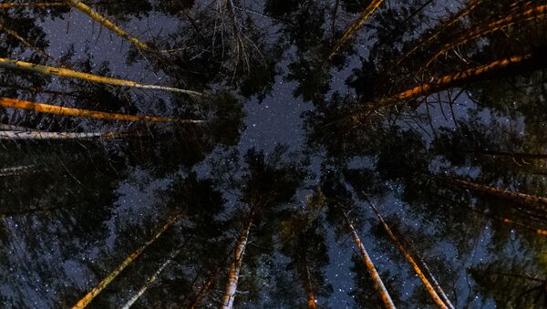 Звездное небо - Sputnik Латвия