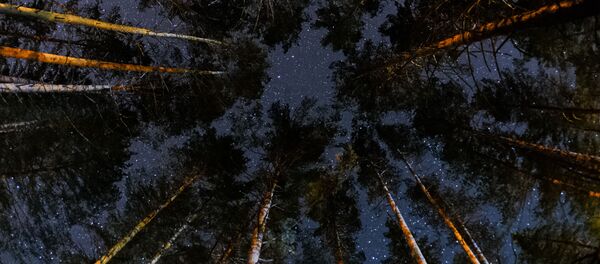 Звездное небо - Sputnik Латвия