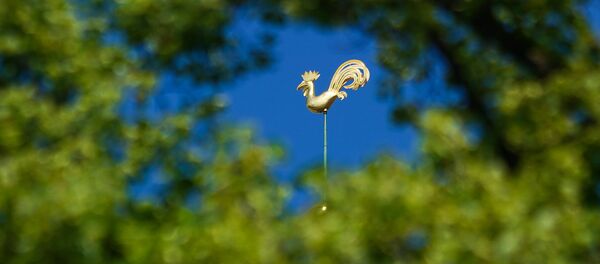 Золотой петушок на шпиле Домского собора в Риге - Sputnik Латвия