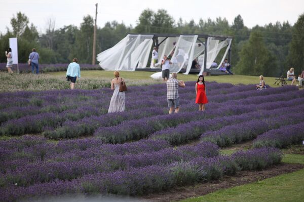 Голый забег и другие летние радости: календарь главных фестивалей сезона в Латвии Голый забег и другие летние радости: календарь главных фестивалей сезона в Латвии - Sputnik Латвия