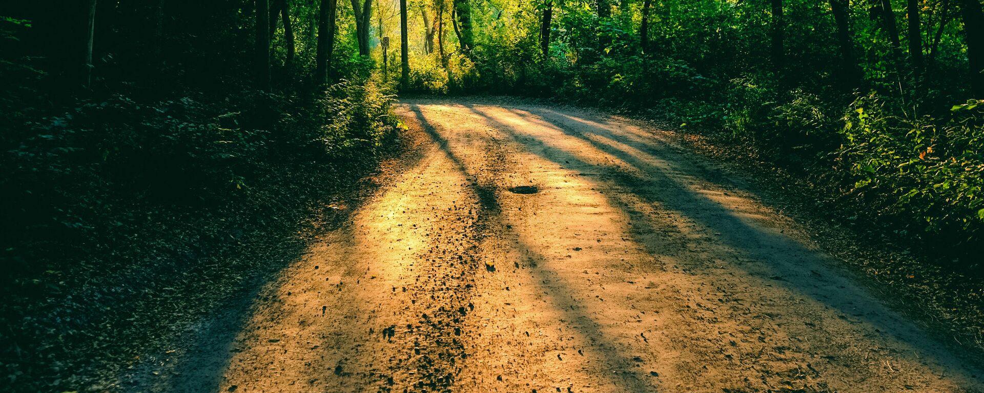 Грунтовая дорога - Sputnik Латвия, 1920, 15.08.2025