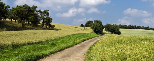 Грунтовая дорога Грунтовая дорога - Sputnik Latvija