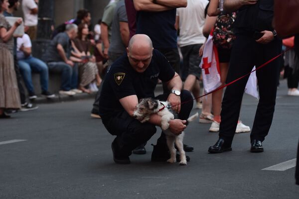 Некоторые привели домашних животных, с ними играли митингующие и полицейские - Sputnik Латвия