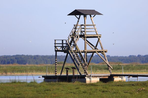 Куда уходит вода из озера Энгуре, и как независимость Латвии связана с вымиранием птиц - Sputnik Латвия
