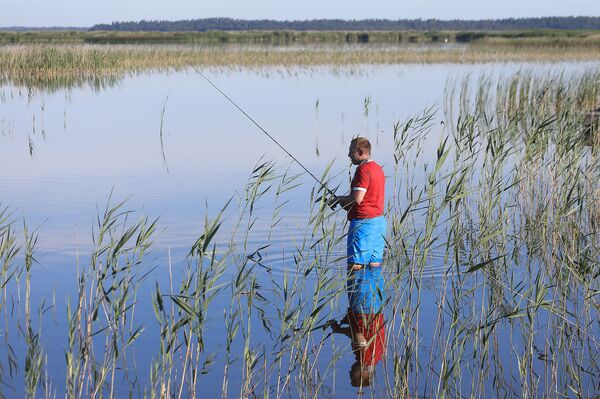 Куда уходит вода из озера Энгуре, и как независимость Латвии связана с вымиранием птиц - Sputnik Латвия