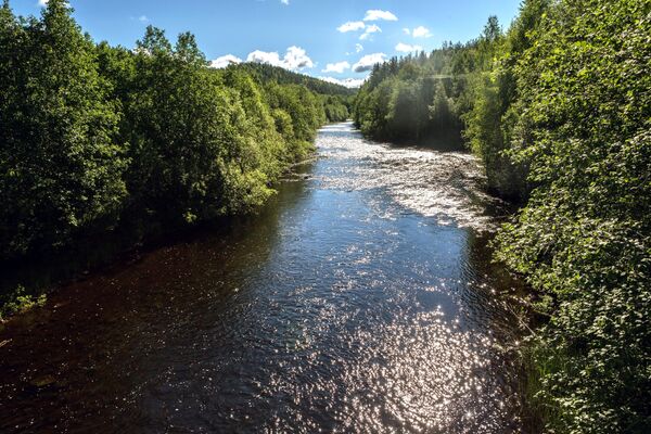 Река Кумса в Медвежьегорском районе Республика Карелия - Sputnik Латвия