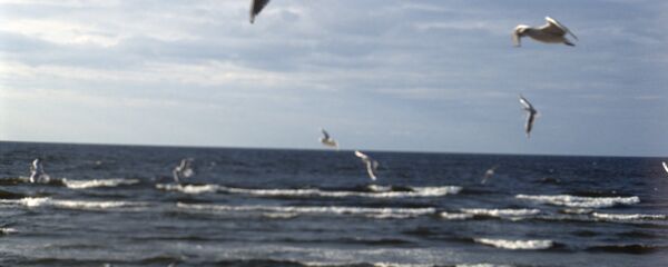 Baltijas jūra - Sputnik Latvija