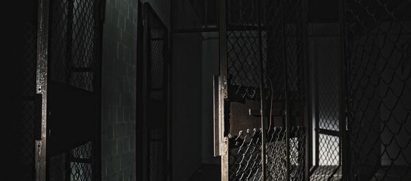 Gaitenis cietumā. Foto no arhīva Gaitenis cietumā. Foto no arhīva - Sputnik Latvija