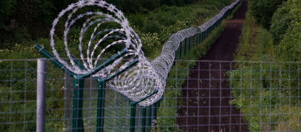 Забор на границе Латвии и России - Sputnik Латвия