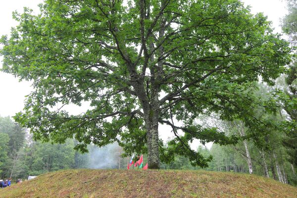 Шестьдесят лет на Кургане дружбы: летопись победителей и партизанские костры - Sputnik Латвия