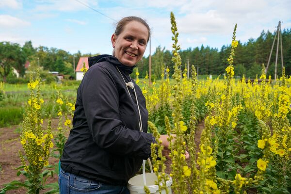 Остров Доле - другой мир возле Риги: модный агротуризм с видом на Даугаву - Sputnik Латвия