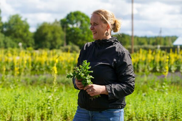 Остров Доле - другой мир возле Риги: модный агротуризм с видом на Даугаву - Sputnik Латвия