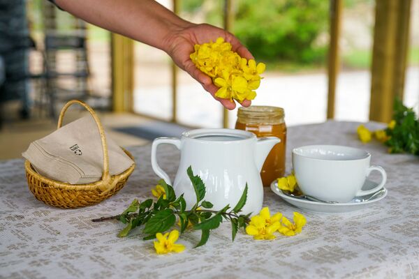 Травы, еврофонды и Чайный домик на острове Доле: Латвия открывает путь агротуризму - Sputnik Латвия