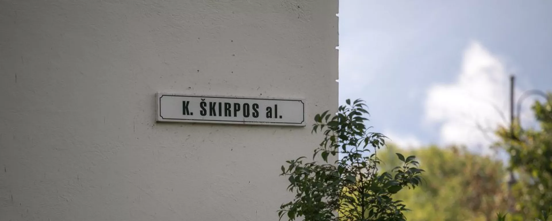 Аллея Шкирпы в Старом городе, архивное фото - Sputnik Латвия, 1920, 11.07.2019