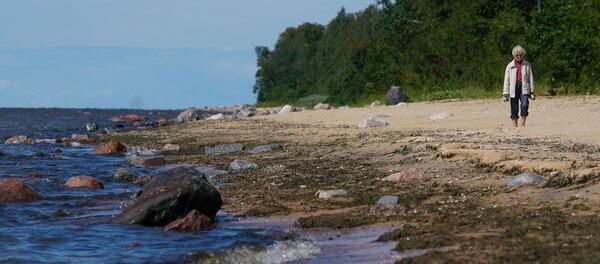 Видземский берег Рижского залива - Sputnik Латвия