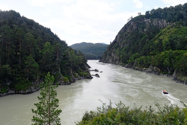 Река Катунь в Чемальском районе Республики Алтай - Sputnik Латвия