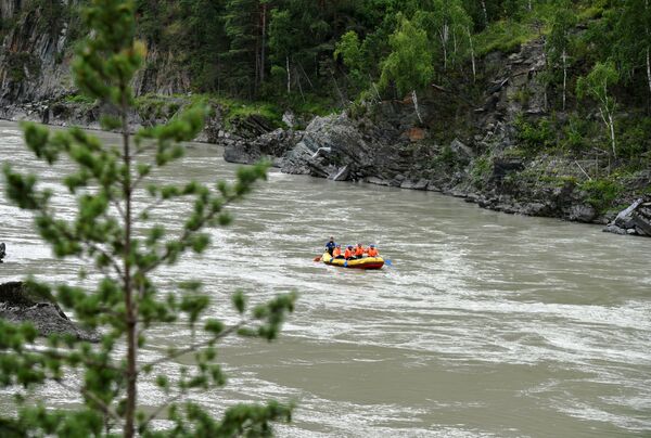 Туристы сплавляются по реке Катунь в Алтайском крае - Sputnik Латвия